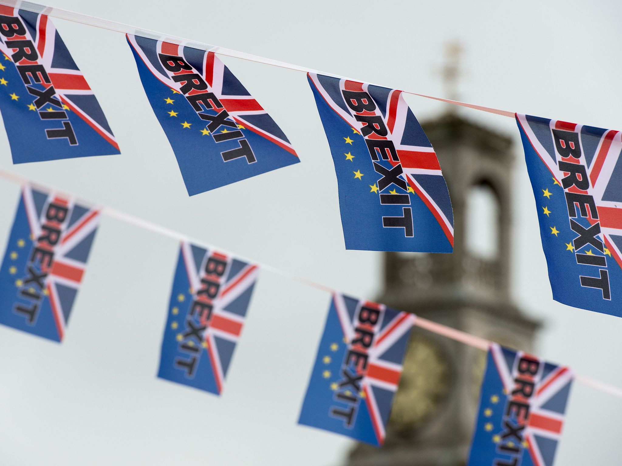 Pro-Brexit flags